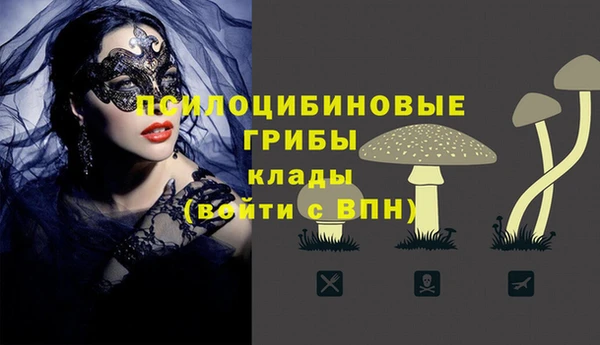 ешки Козловка