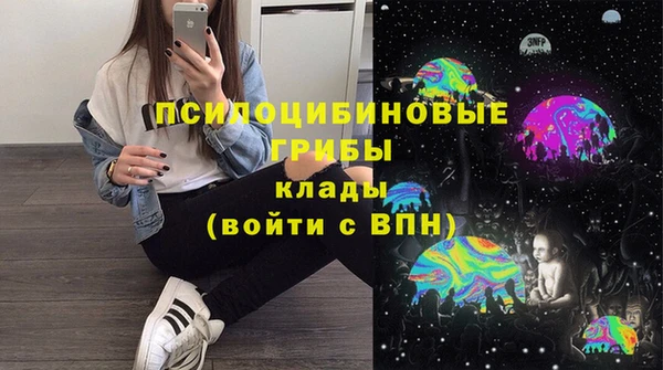 ешки Козловка