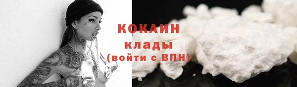 ешки Козловка