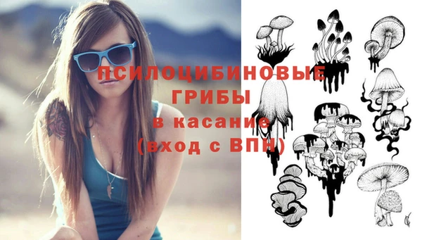 эйфоретик Козельск