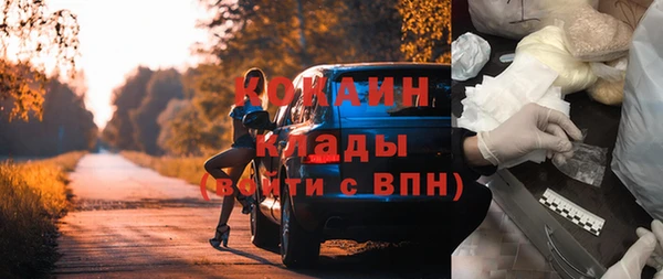 ешки Козловка