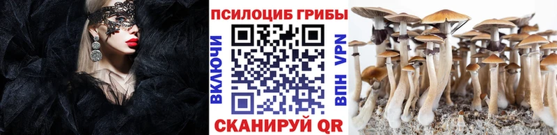 наркота  Ульяновск  Псилоцибиновые грибы Magic Shrooms 