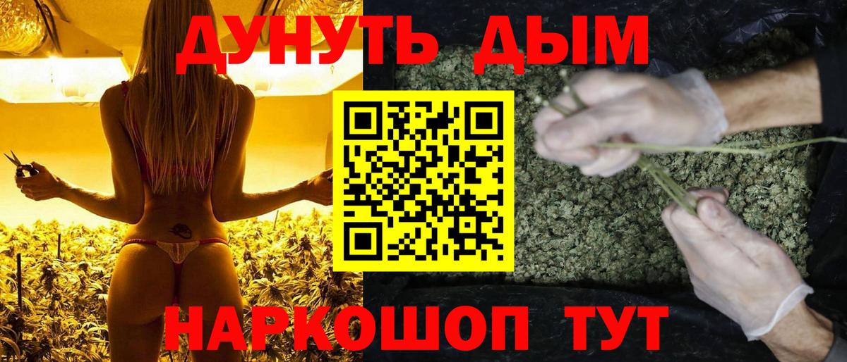 Марихуана конопля Ульяновск